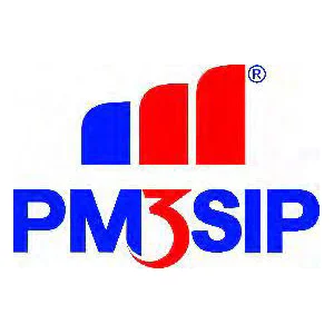 PM3